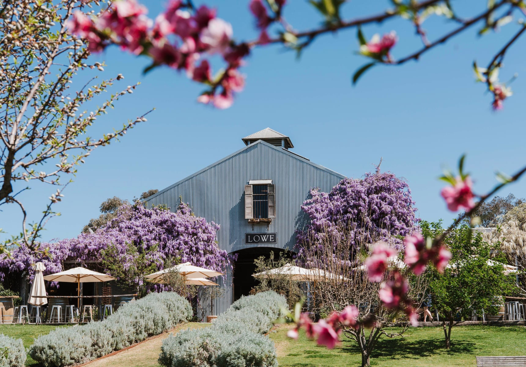 Lowe Family Wine Co. Photo: Courtesy of Mudgee Region